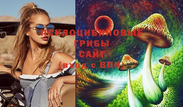 метадон Богородицк