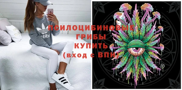 тгк Богородск
