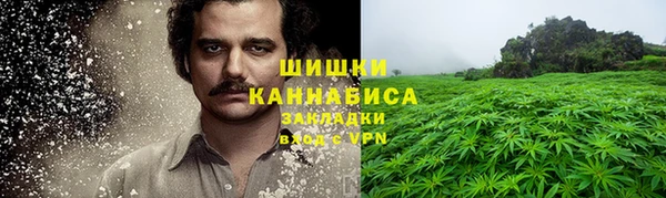 тгк Богородск