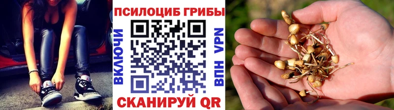 Псилоцибиновые грибы GOLDEN TEACHER  продажа наркотиков  Демидов 